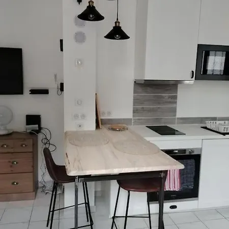 Confort Centre-ville Apartment Tarbes